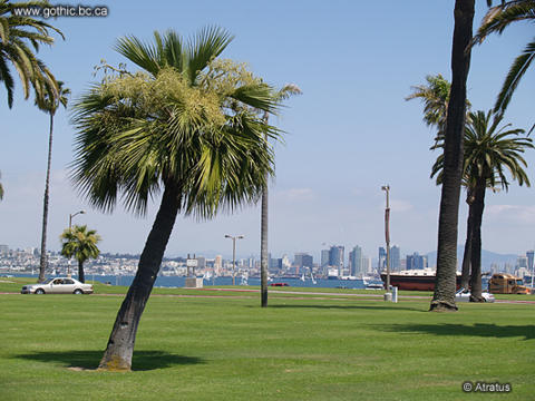 Looking toward downtown San Diego.